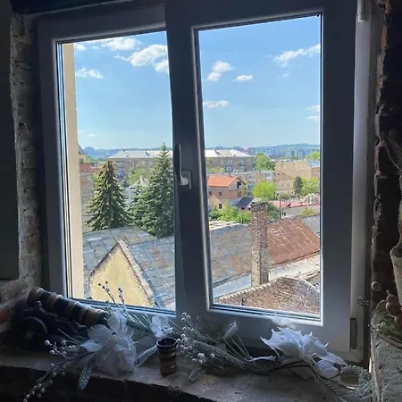 宾馆 Rover 利沃夫