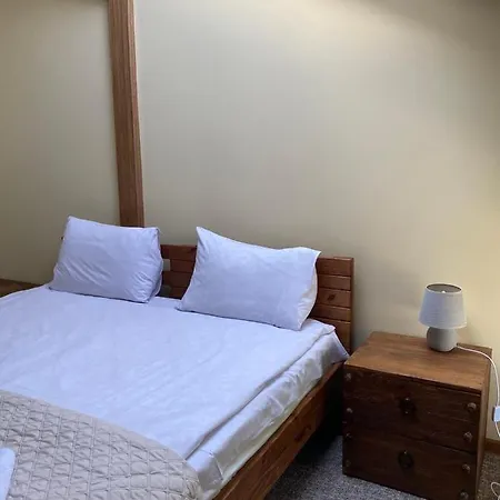 宾馆 Rover 利沃夫